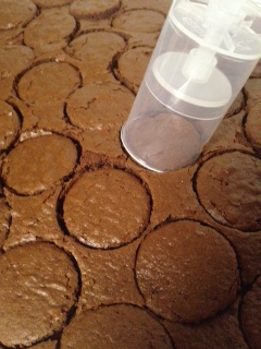 chocolate cake circles for push cakes using push pop container tube